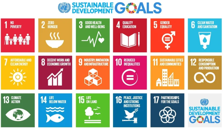 UN SDG goals